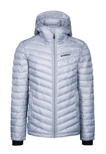 Pánská zateplovací bunda Insulator Hoody, stříbrná 2023/24