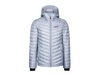 Pánská zateplovací bunda Insulator Hoody, stříbrná 2023/24