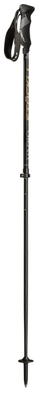 Carbon Orea Vario