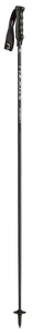 Carbon Sport